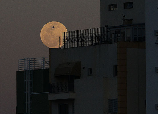 Lua Azul poderá ser vista pelo público no Observatório Municipal de Campinas