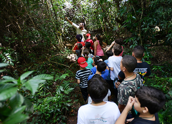 Sobrevivência na floresta é o tema da 23ª Ecoférias na Mata de Santa Genebra