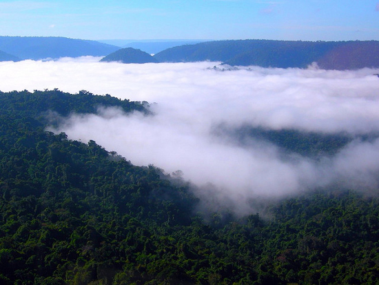 Brasil reduziu emissões de gases do efeito estufa em 41% em 7 anos, diz relatório