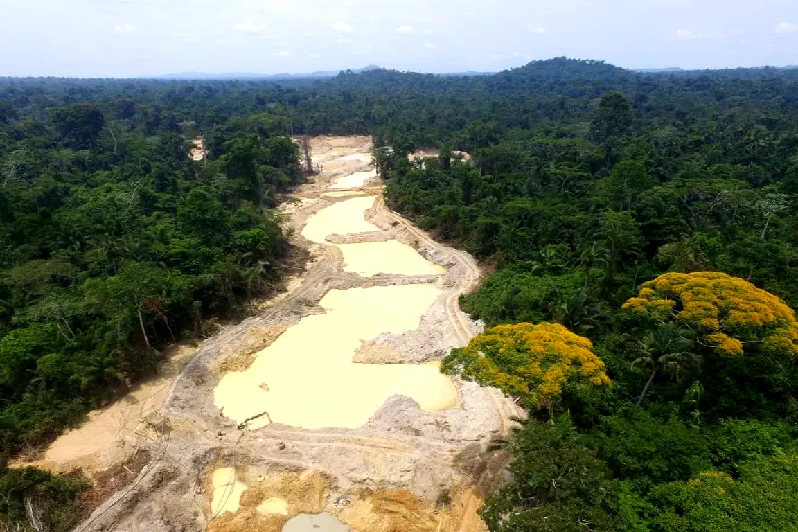 Ouro ilegal faz evasão de riquezas, destrói biomas e pratica crimes ambientais de lesa humanidade