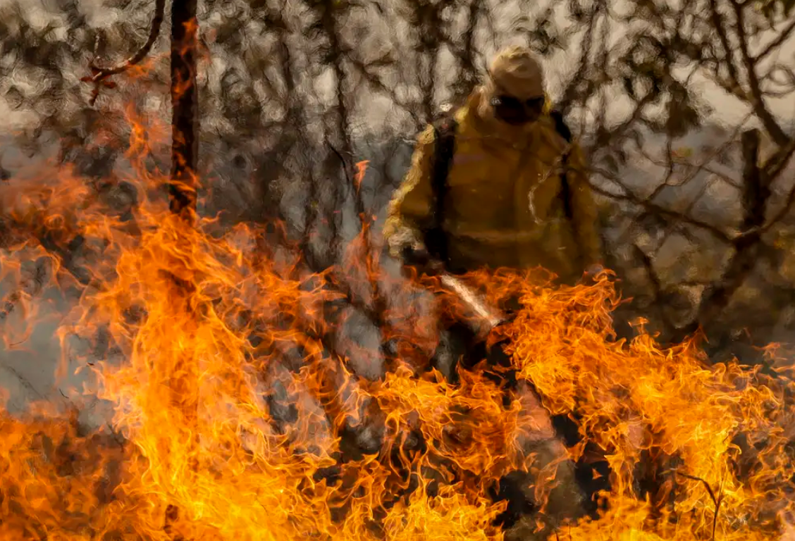 Agropecuária, mineração e madeireiras saqueiam e incendeiam a Floresta Amazônia