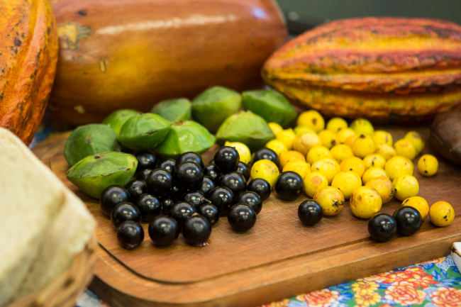 Projeto ‘Experimenta! Comida, Saúde e Cultura’ traz bate-papos, cine-degustação e vivência sensorial