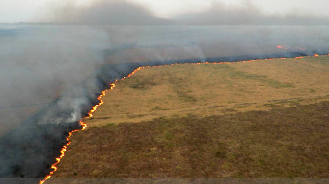 Incêndio na região do Parque Nacional da Ilha Grande (PR) já consumiu quase 70% da unidade