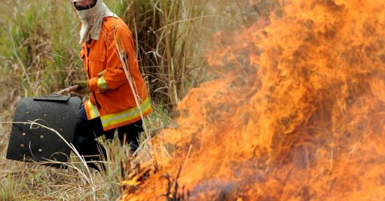 cerrado-incendio-fogo