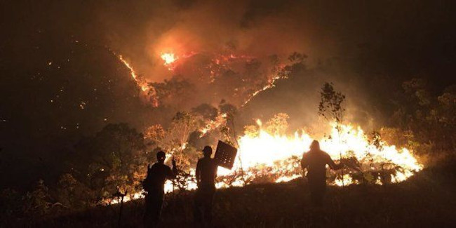 Novo incêndio na Chapada dos Veadeiros já destruiu 6,5 mil hectares na região