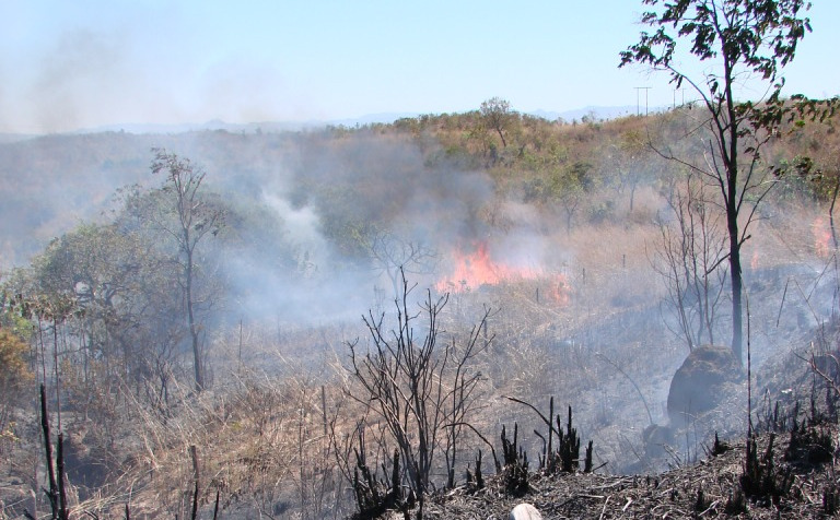 Agronegócio está destruindo 81 bacias hidrográficas do Cerrado e ameaça a segurança hídrica do Brasil