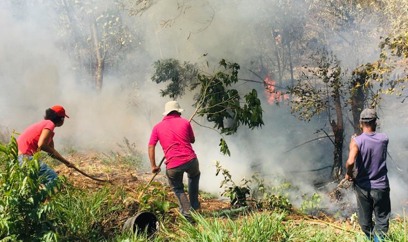 Famílias de acampamento  do MST em Valinhos  combatem incêndio na Serra dos Cocais