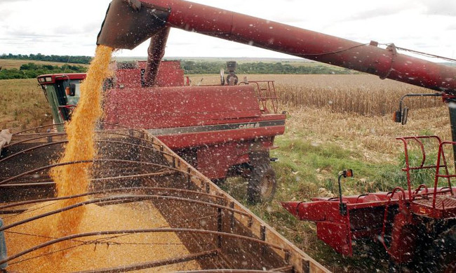 Se depender do agronegócio, população do Brasil morrerá de fome na pandemia