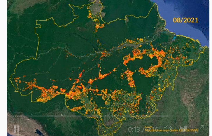 Leonardo DiCaprio divulga vídeo do mapbiomas, que mostra a destruição acelerada da Amazônia