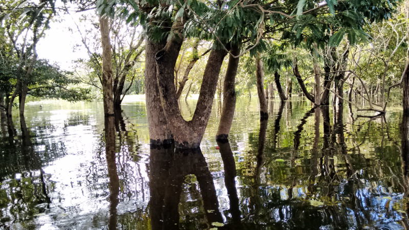 O espetáculo da expansão dos cursos dos rios na Amazônia