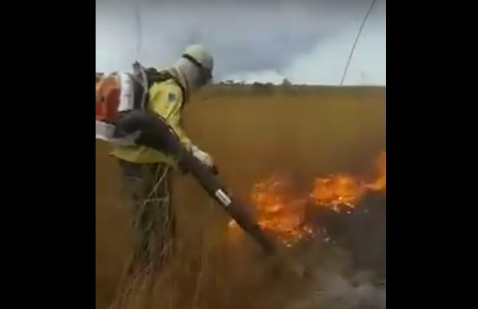 Vídeo na internet mostra que soprador de folhas é eficiente no combate a incêndio florestal