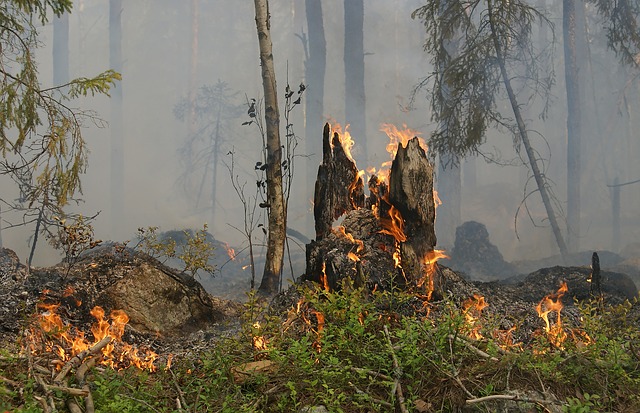 Brasil pode crescer mais se reduzir poluição ambiental, diz estudo da UFRJ